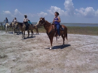 S-n-G Horseback Riding