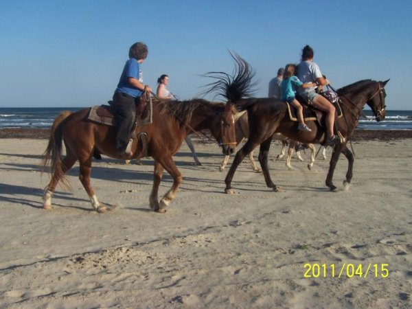 S-n-G Horseback Riding