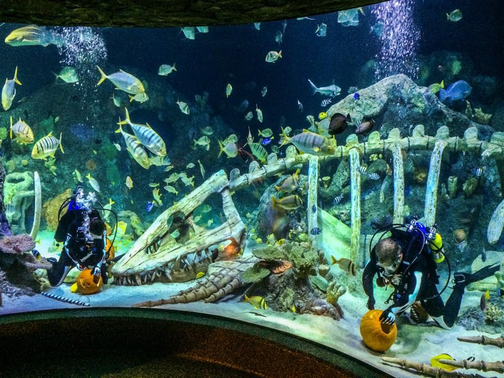 SEA LIFE Kansas City Aquarium