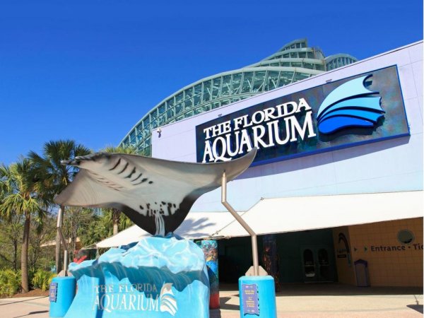 The Florida Aquarium
