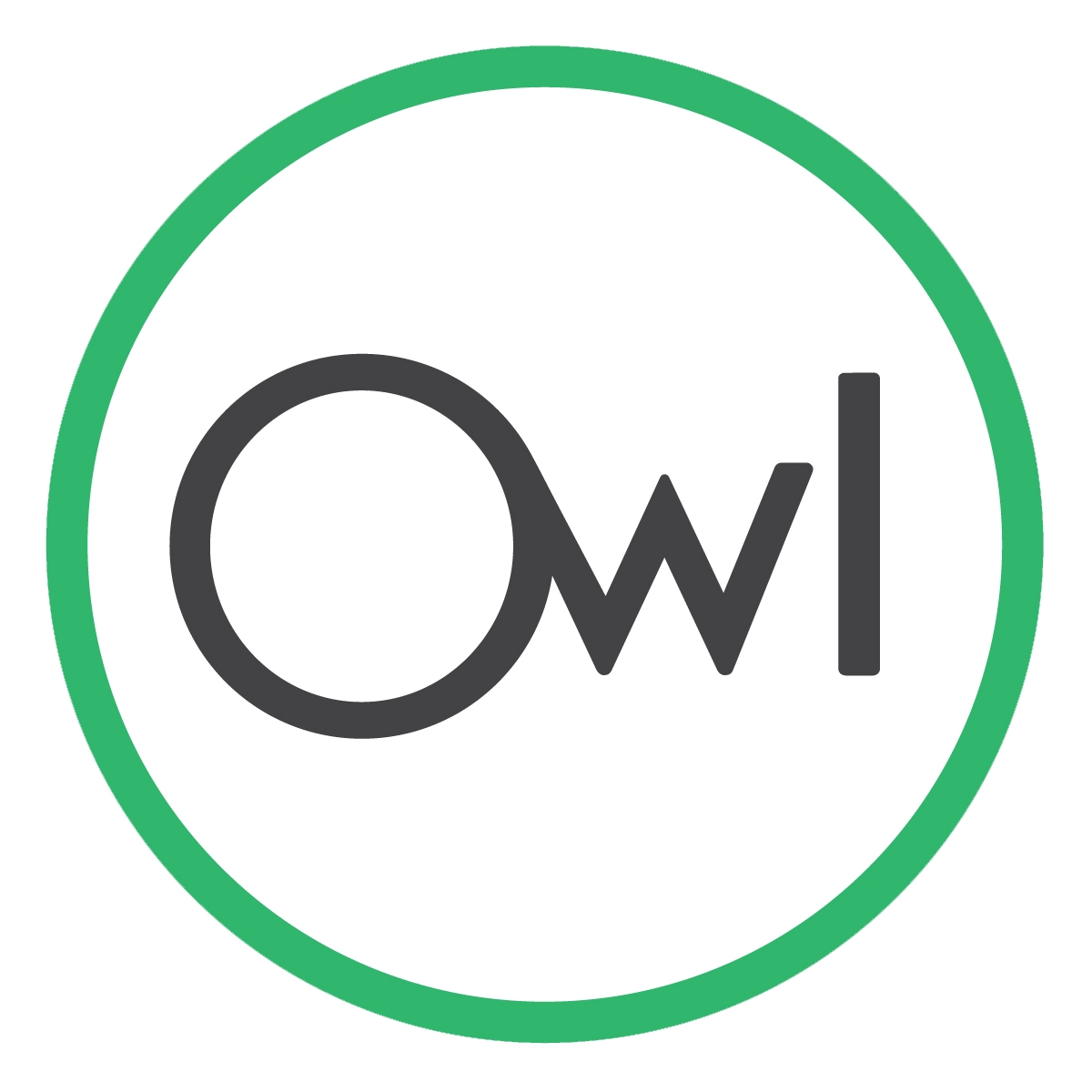 Owl Car Cam