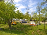 Camp Jellystone